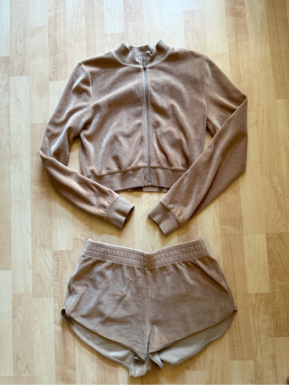 Aritzia Velour Set